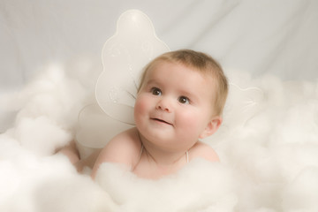 lucas angel