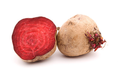 radish studio isolated over white