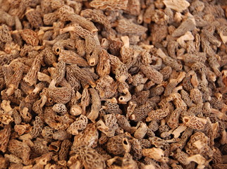 Morilles séchées