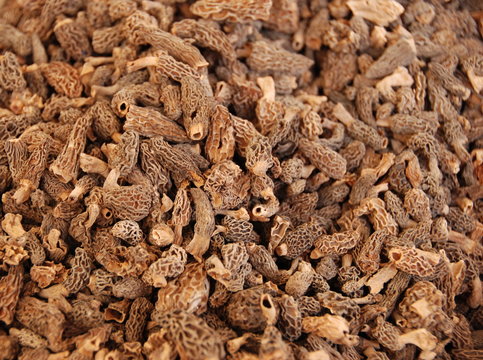 Morilles s&eacute;ch&eacute;es