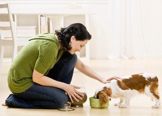 Devoted woman kneeling and feeding hungry pet dog