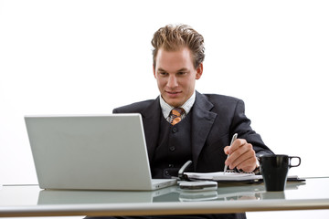 Businessman working on laptop computer, smiling,