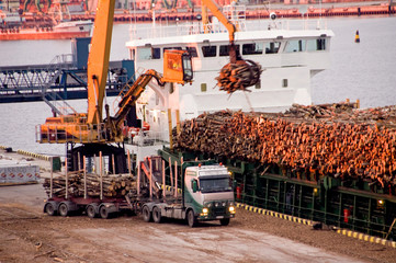 Truck and ship at docks with pulpwood cargo