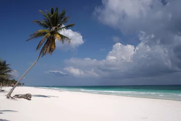 Foto op Plexiglas playa de Tulum © Roberto Romanin