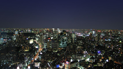 Fototapeta premium Tokyo nightscape