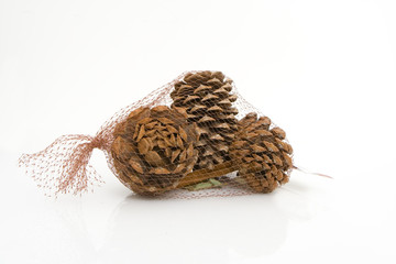 pine cones in a bag ready to sell