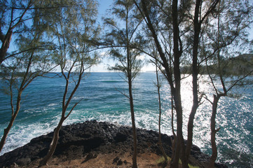 Fototapeta na wymiar Tropical Shoreline on Kauai, Hawaii