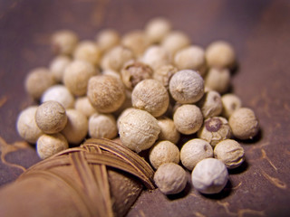 Close up details of  white peppercorns on coconut ladle