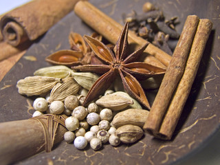 Mix spices on coconut ladle