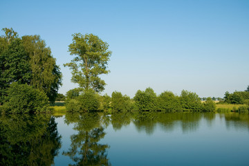 Summer landscape background texture