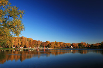 Autumn Landscape with Lake and yellowed trees