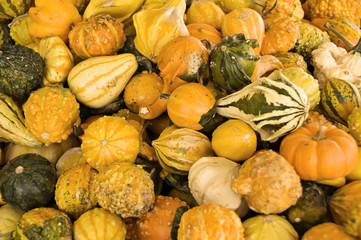 A display of gourds