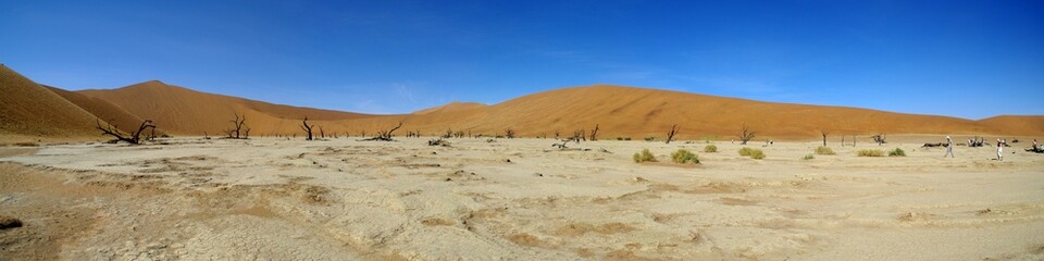 Panorama Death Vlei