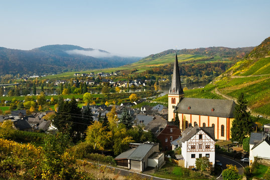 beautiful village and vineyards along the mosel river in germany