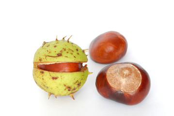 Horse-chestnuts isolated on white background