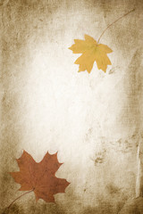 autumn background