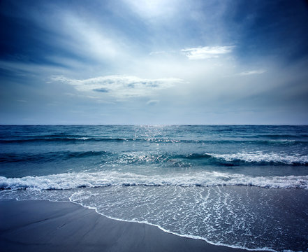 Beautiful Beach on Sealion Island