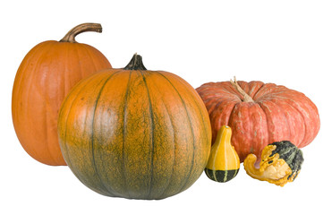 Pumpkins and gourds isolated with a clipping path