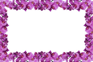 Fototapeta na wymiar flower frame made from orchid on white background