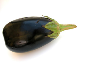Aubergine