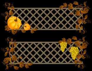 autumn banner © Jut