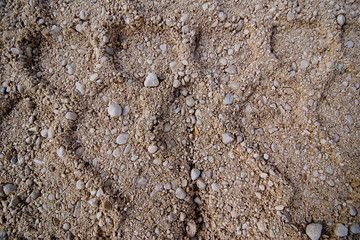 trace in the land