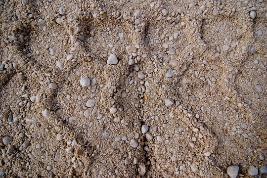 trace in the land