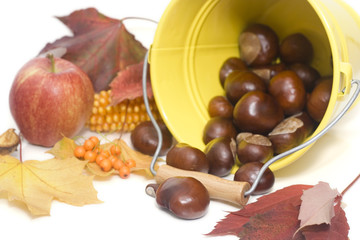 chestnuts spilling out from a yellow bucket