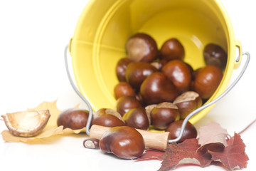 chestnuts spilling out from a yellow bucket