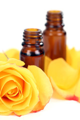bottles of essential oil and beautiful rose isolated