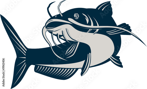 Download "Catfish" Stock image and royalty-free vector files on ...