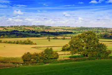 Fototapeta na wymiar Autumn fields in Shropshire