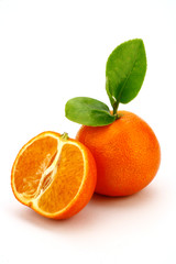 mandarino