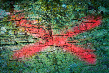Red cross sign on an oak tree trunk
