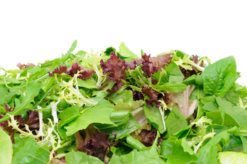 Green salad background with copyspace