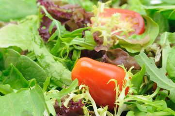 Close up of salad leaves and cherry tomatoes