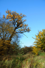 Fototapeta premium Landschaft 33