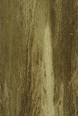 Wooden Texture