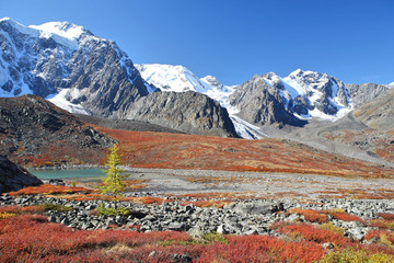autumnal colors in Altai Mountains, Siberia
