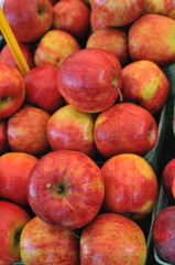 Royal gala apples