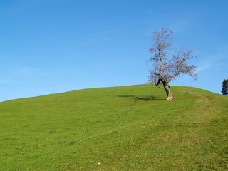 loin de tout...surgissait le calme