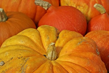Pumpkins
