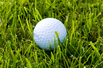 Golf Ball and Grass close up shot