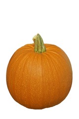 Pumpkin, Isolated