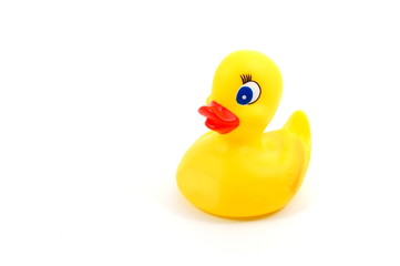 isolated toy rubber duck for playing in the bathroom