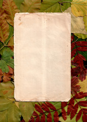 textile texture leaves