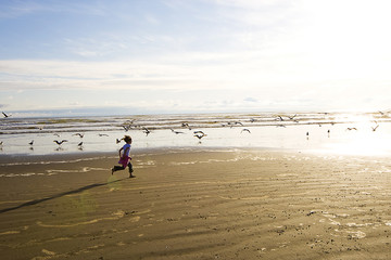 chasing birds at the beach