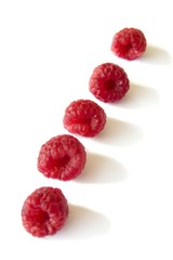 Raspberries in a row