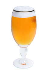 An elegant glass of beer isolated on white background.