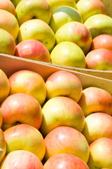Beautiful apples in the market place